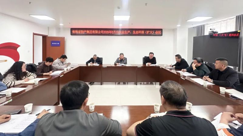 集團召開2025年2月份安全生產、生態(tài)環(huán)保（擴大）會議